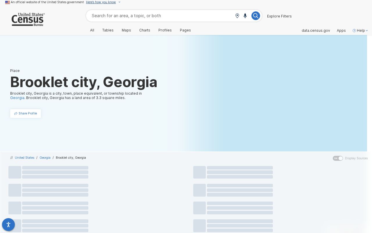 Brooklet criminal records city context from Census in Bulloch County